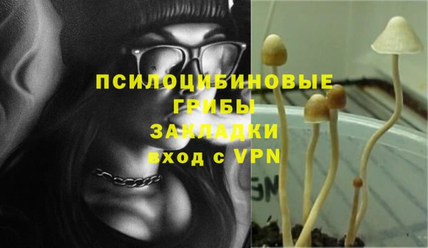 apvp Горно-Алтайск