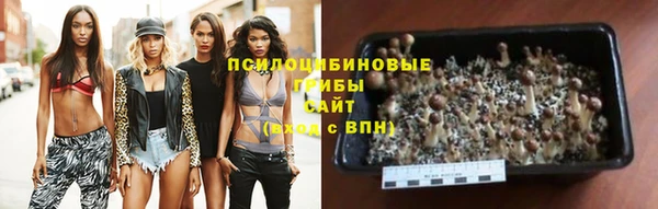 стаф Бабаево