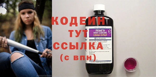 шишки Горнозаводск
