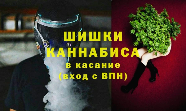 шишки Горнозаводск