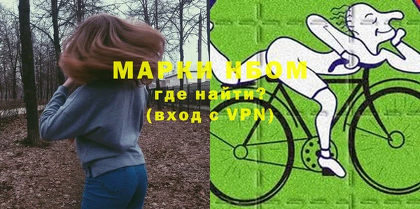 шишки Горнозаводск