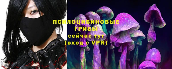 шишки Горнозаводск