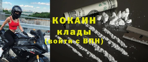 шишки Горнозаводск