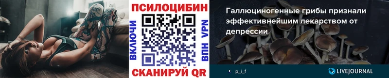 Галлюциногенные грибы Psilocybe  Купить где  Нытва 